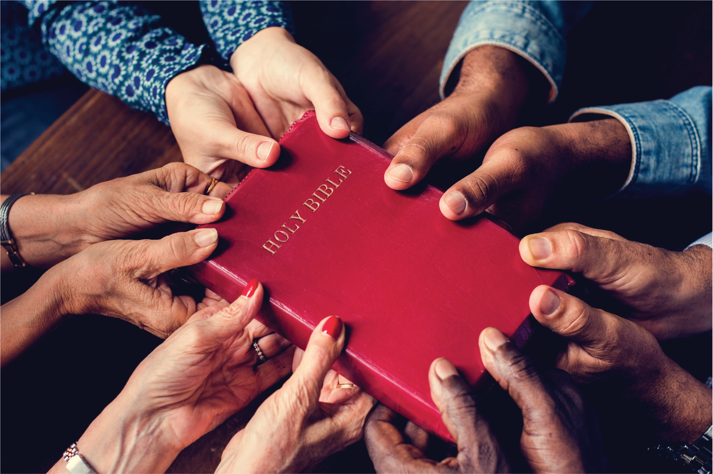 Bible Distribution (One Bible Project)